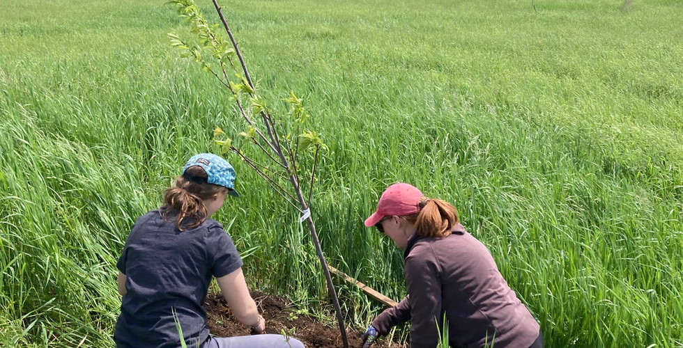 Volunteers working hard to build the food forest.