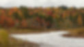 River and marsh with fall leaf backdrop.