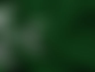 Şeyh Edebali'nin Osman Bey'e Nasihati