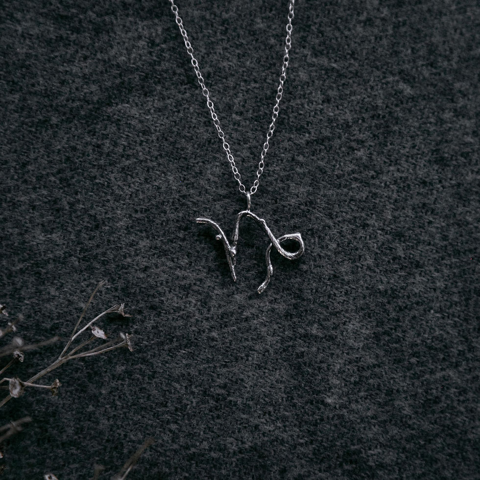 Thumbnail: Capricorn Zodiac Twig Necklace