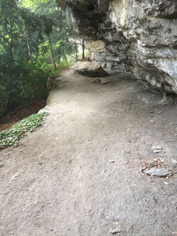 Spielen im der Natur