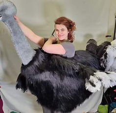 Ostrich body