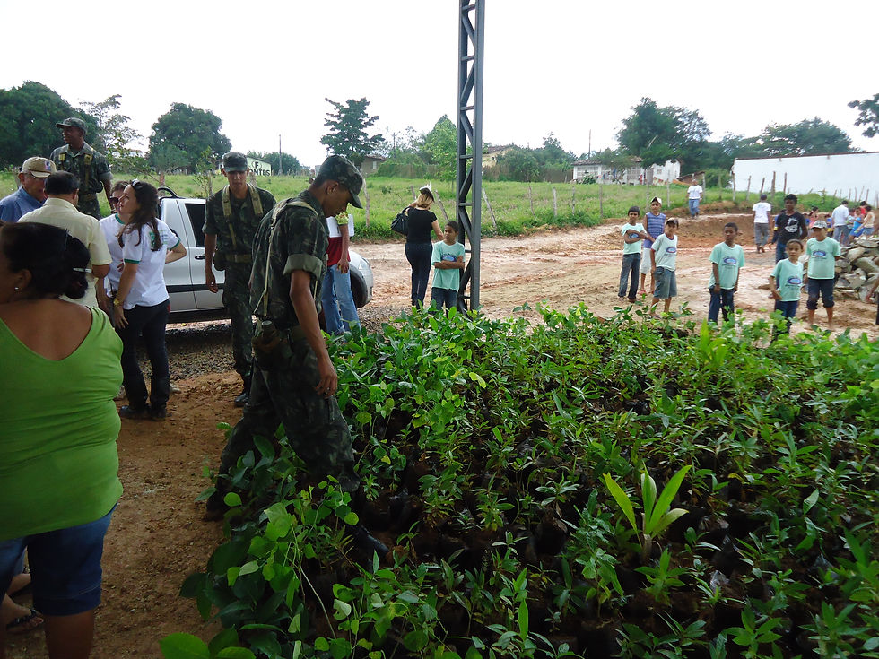 Projeto Plantar E Não Degradar