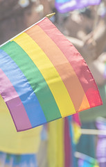 Pride Parade Flag_edited.jpg