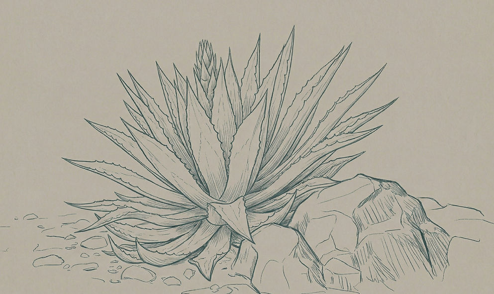 Gemini_Generated_Image_p4yqjjp4yqjjp4yq