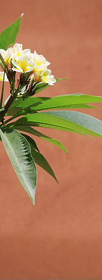 Image 2-2-25 at 6_edited.jpg