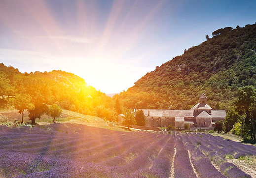 sunlight-over-lavender-fields-senanque-abbey-gordes-provence-alpes-cote-dazur-france-europ