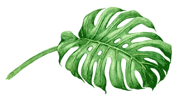 Tropical Leaves 6