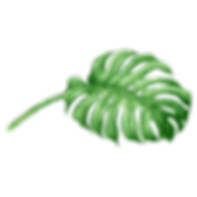 Tropical Liście 6
