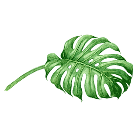 Tropical Leaves 6