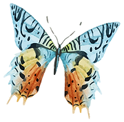 Aquarelle Papillon 13
