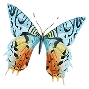 Colorful Butterfly Illustration