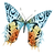 a multicolored butterly