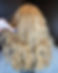 IMG_3456_edited.jpg