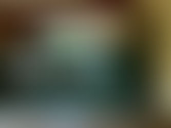 Providing Expert Knowledge in Structural Calculations and Alterations