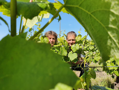 Vignerons bio Nathalie et Laurent BOUCHAUD