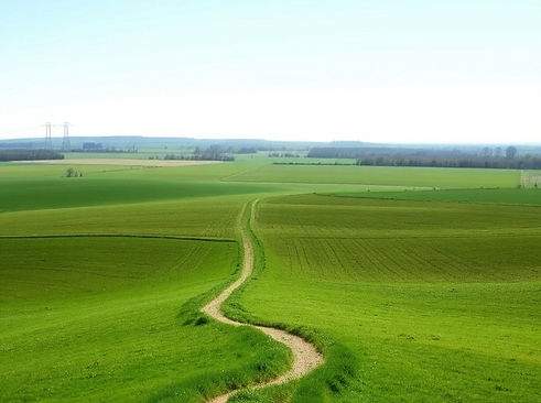horizon with small winding path in a rural setting stretching to it. blue sky, sunny weath