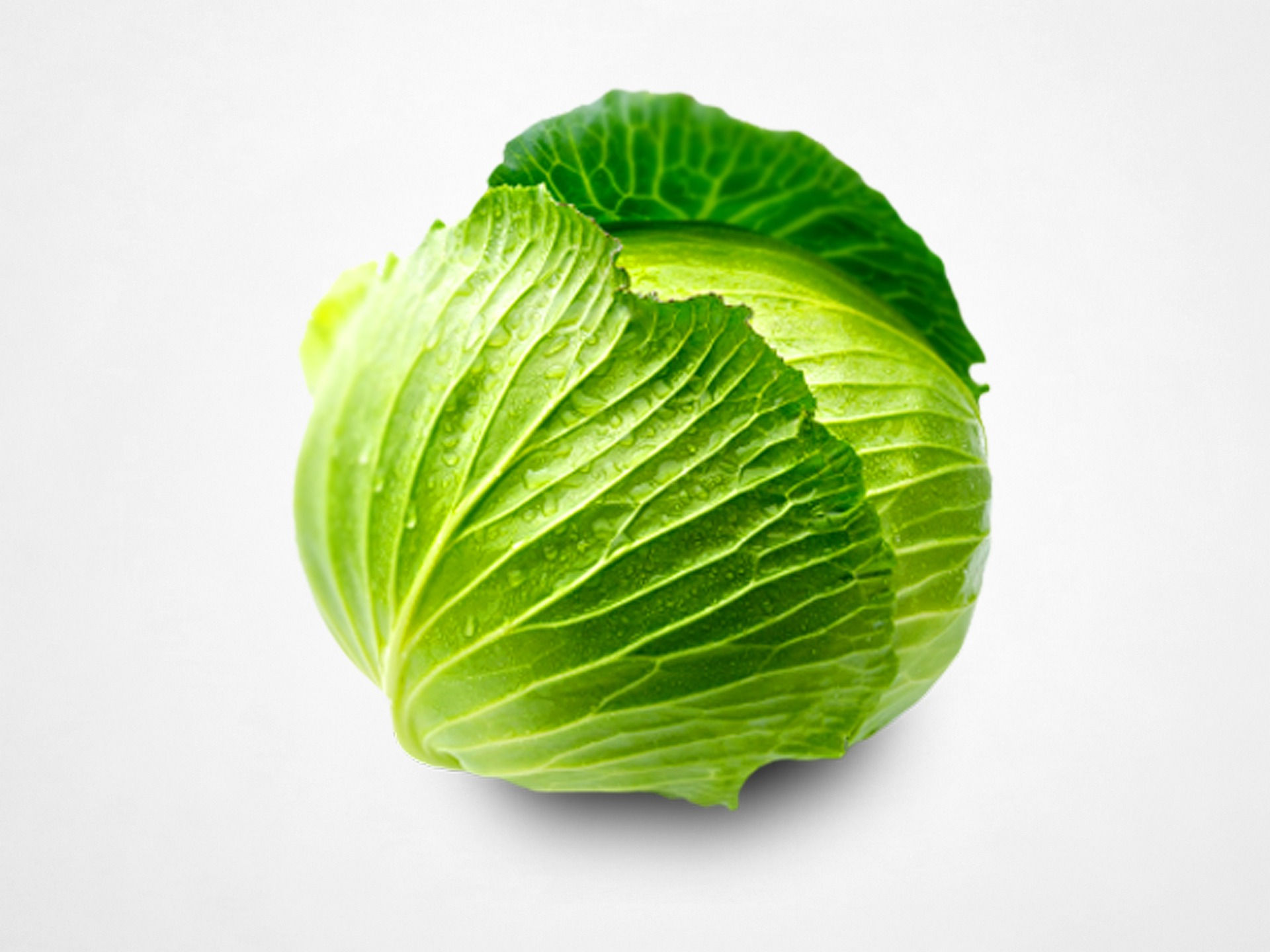 Organic Green Cabbage, 1 head