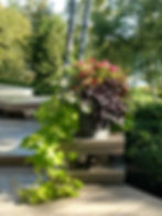 IMG_20170912_095724104_HDR