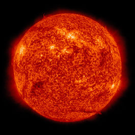 Sole