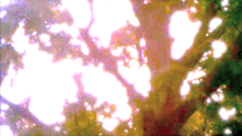 HANNA ART WORKS Movie