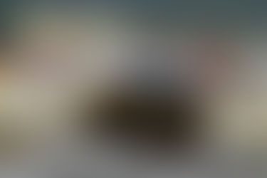 RALLYPHOTO OF THE DAY NO. 003