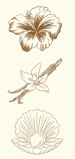 Untitled design (25).png