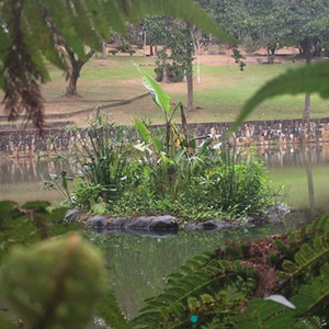 Sesc Interlagos