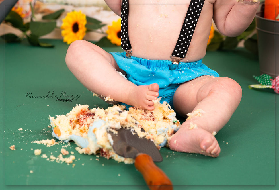 Down the garden cake smash Barnsley Peter Rabbit