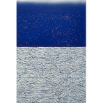 2007 MER GRAPHIQUE BLEUE 