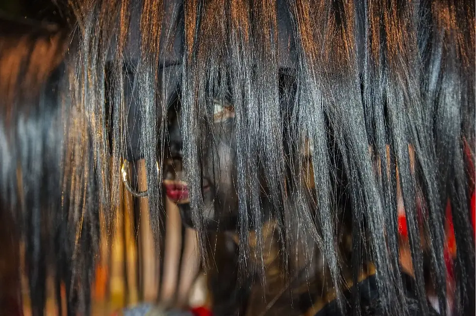 GUADELOUPE, CARNIVAL, 2023