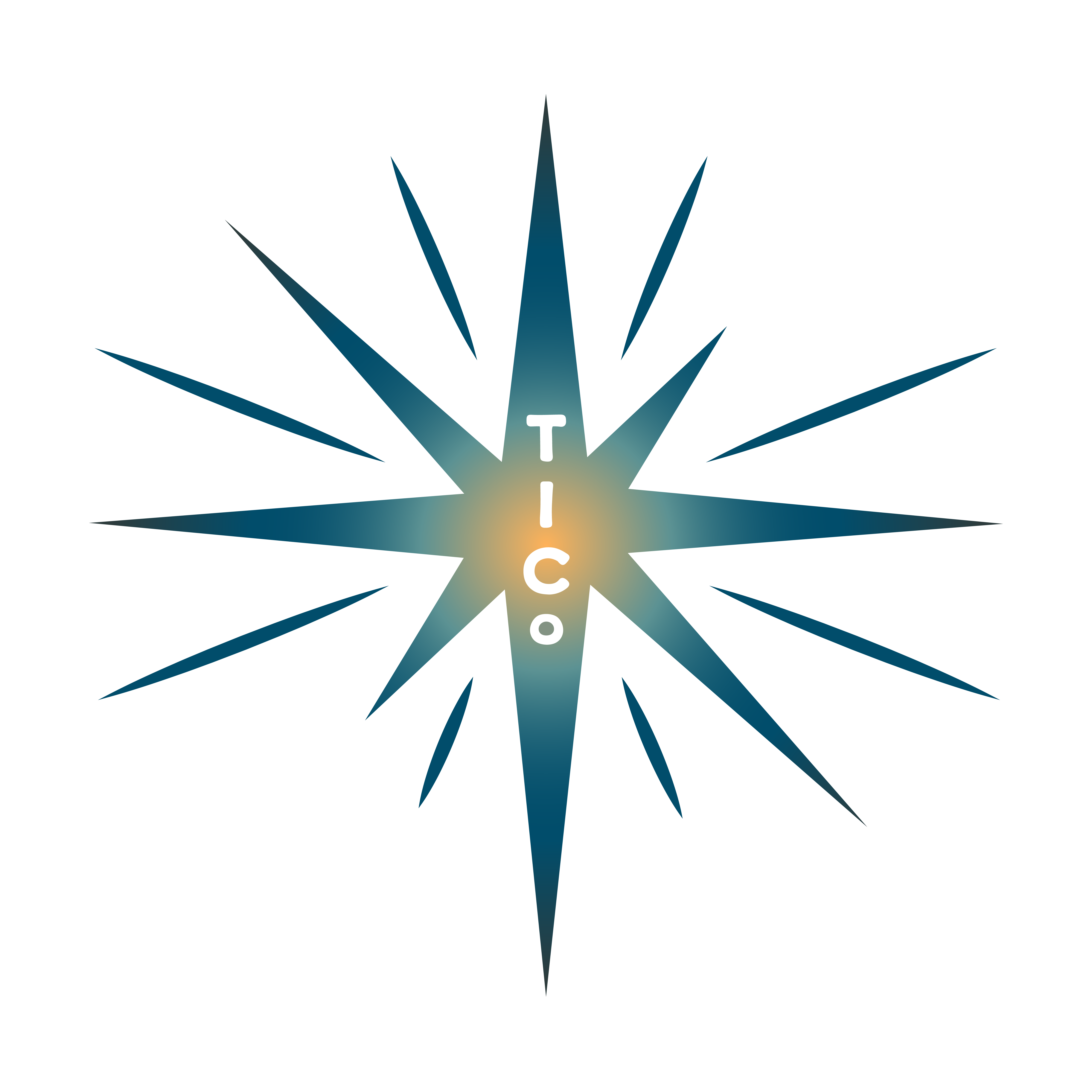 Writer: The Illuminating Collective