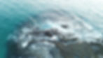 joshua-sukoff-ml1Z_nTuK9w-unsplash (1).j