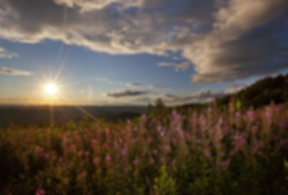 AdobeStock_57282931 (1).jpeg