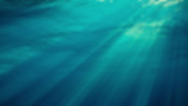 AdobeStock_321950362.jpeg
