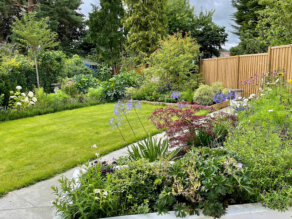 Established garden with lawn, layered borders and colourful perennial planting