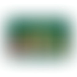 Comment équilibrer son assiette : une méthode simple et visuelle pour manger équilibré