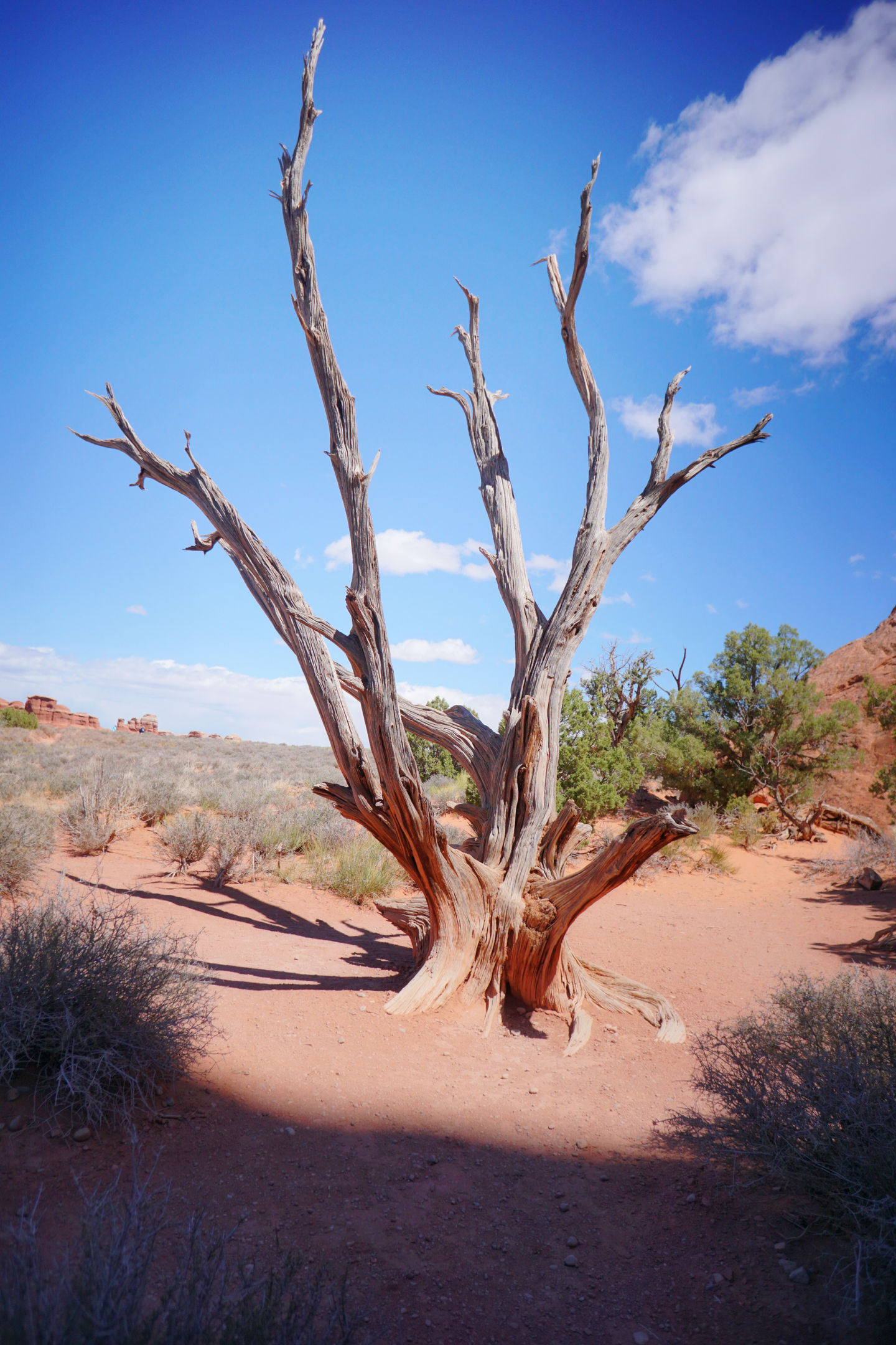 Arches National Park