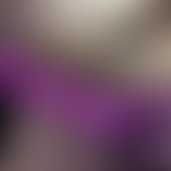 Attic and Interior Evaluation, Bynum roofing inspection process