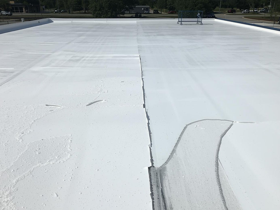 A flat white rooftop in sunlight, showing seams and repairs. Trees and parked cars are visible in the background, creating a calm urban scene.