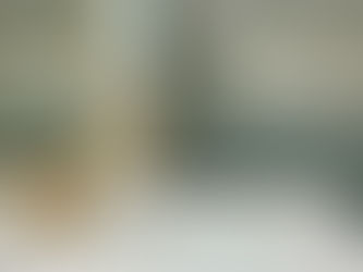 Large format tile master bathroom renovation Central Florida RLC