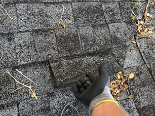 Roof repair vs replacement Florida comparison showing damaged shingles and new roof installation