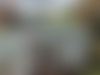 Best time of year for roof replacement Florida under sunny weather conditions