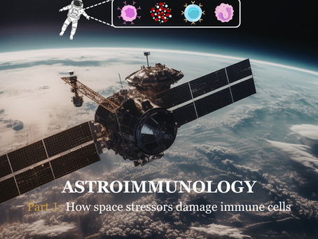 Astroimmunology Series | Part 1: How does outer space affect our immune system? 
