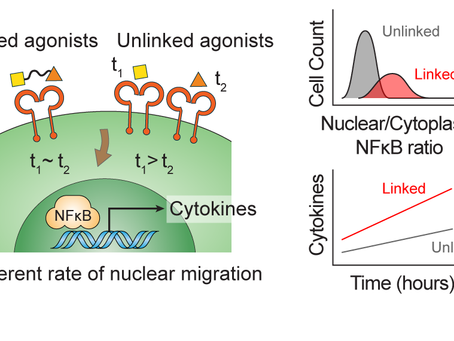 General Illustrations