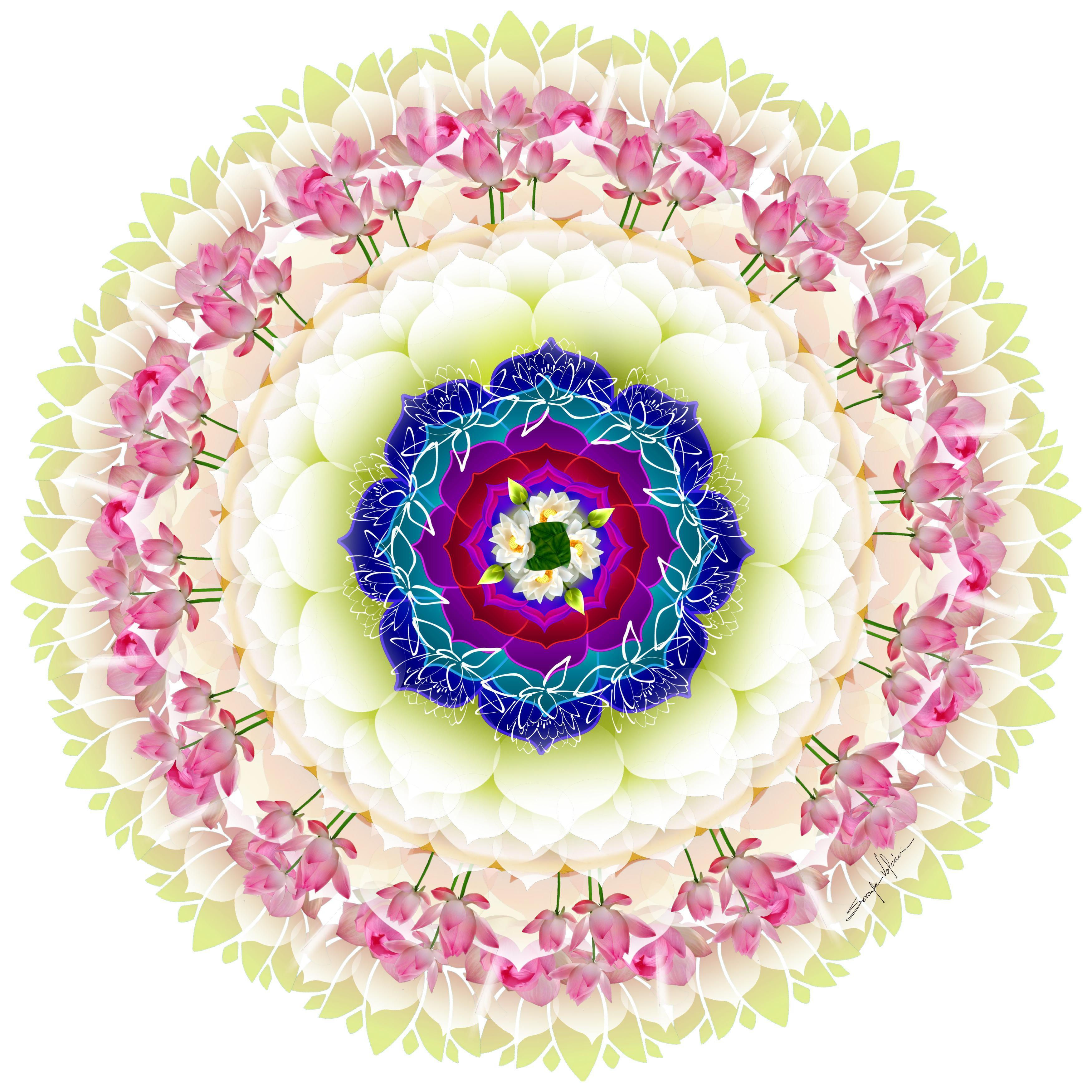 RETOMAR EL CAMINO DE PAREJA