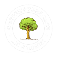 logo-png_edited.png