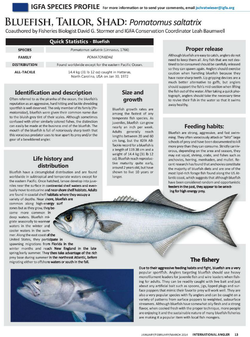 International Angler