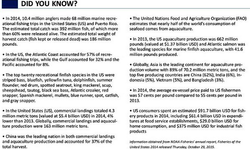 International Angler