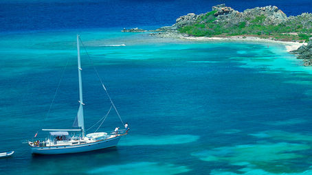 Simplification Management - New Year's Resolution or Old Year's Management?